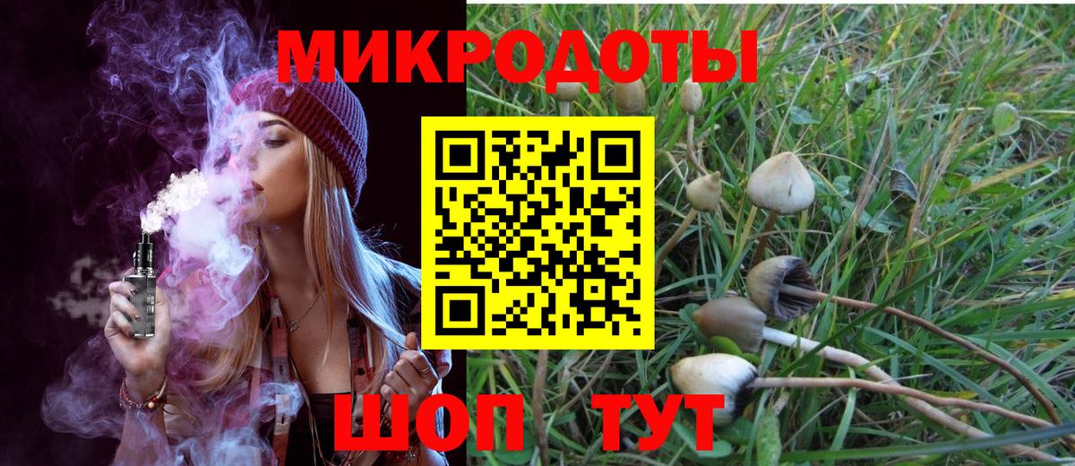 Псилоцибиновые грибы мухоморы Костомукша