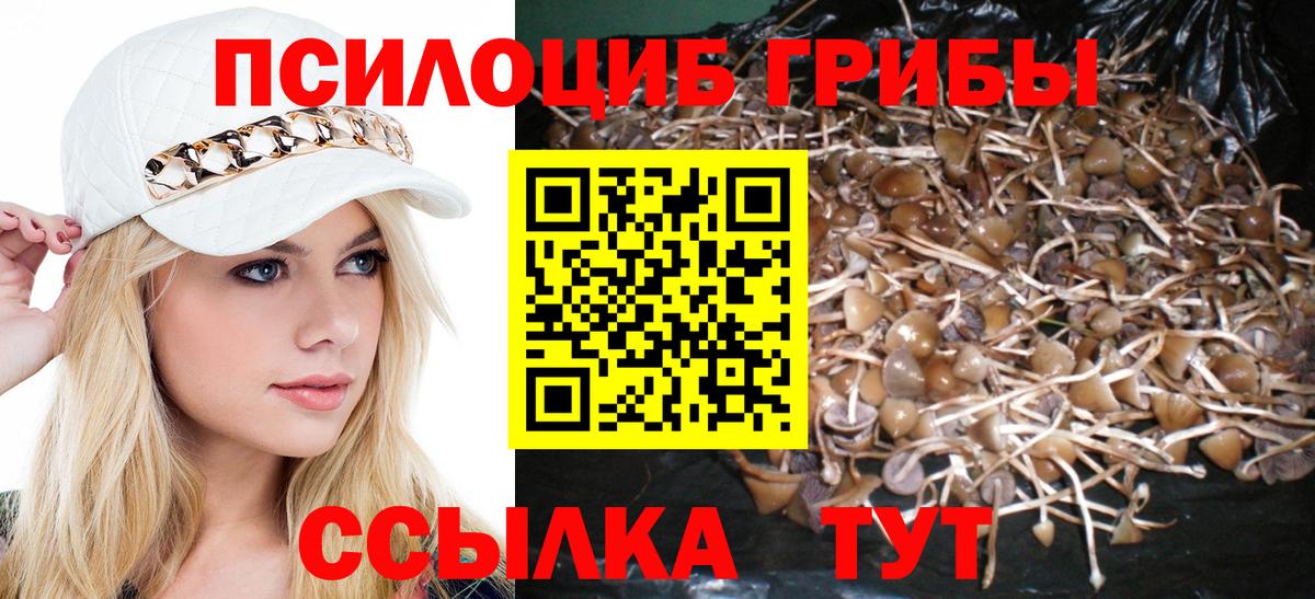 Галлюциногенные грибы GOLDEN TEACHER  Вход с VPN  Костомукша 